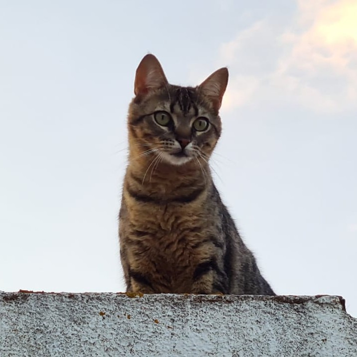 Foto de Yuki